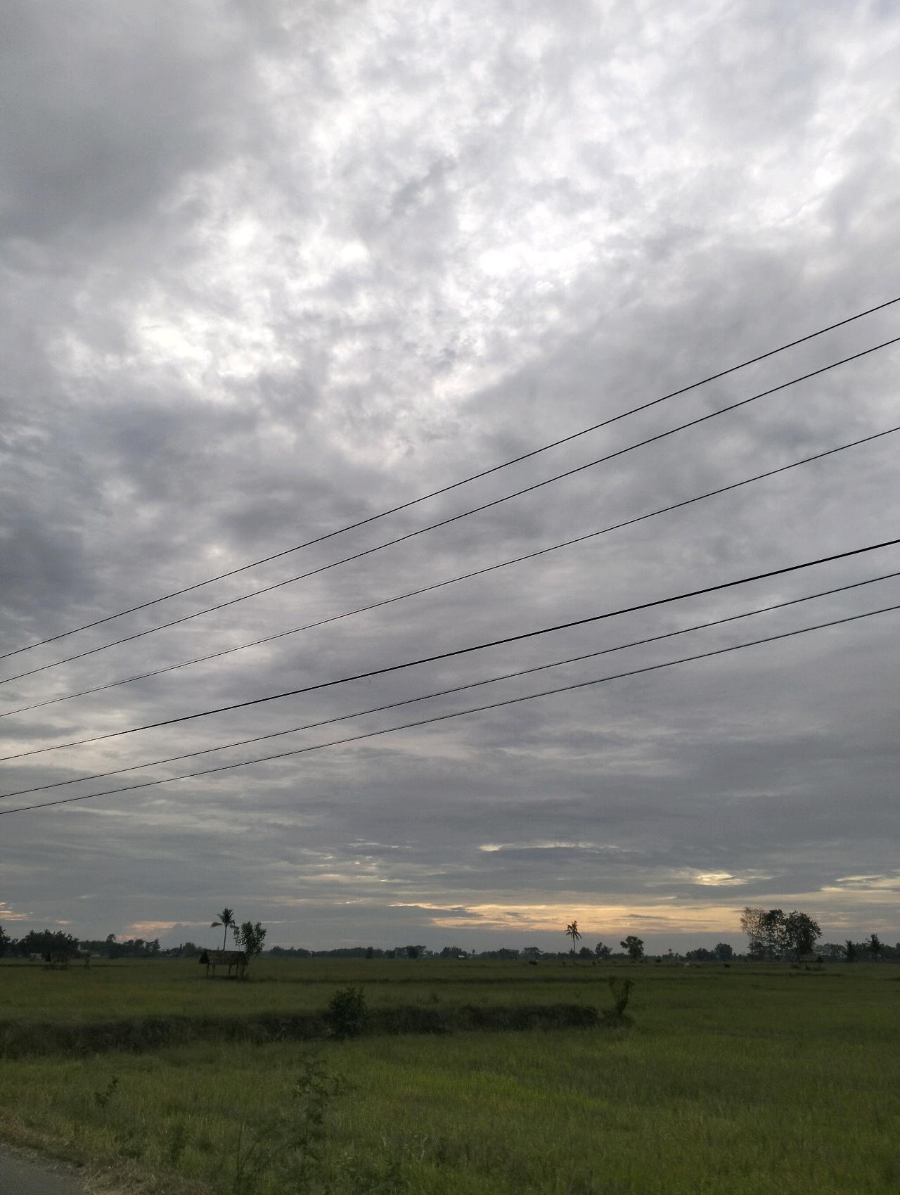 cmp_1773826106443.jpg