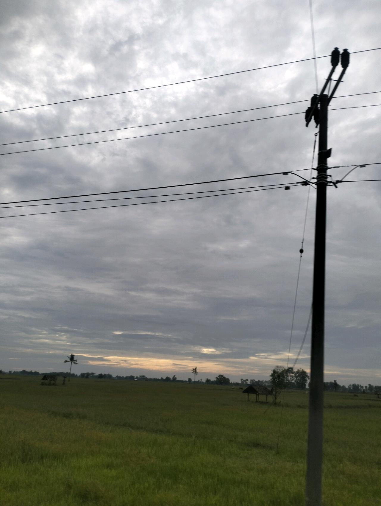 cmp_1773826115175.jpg
