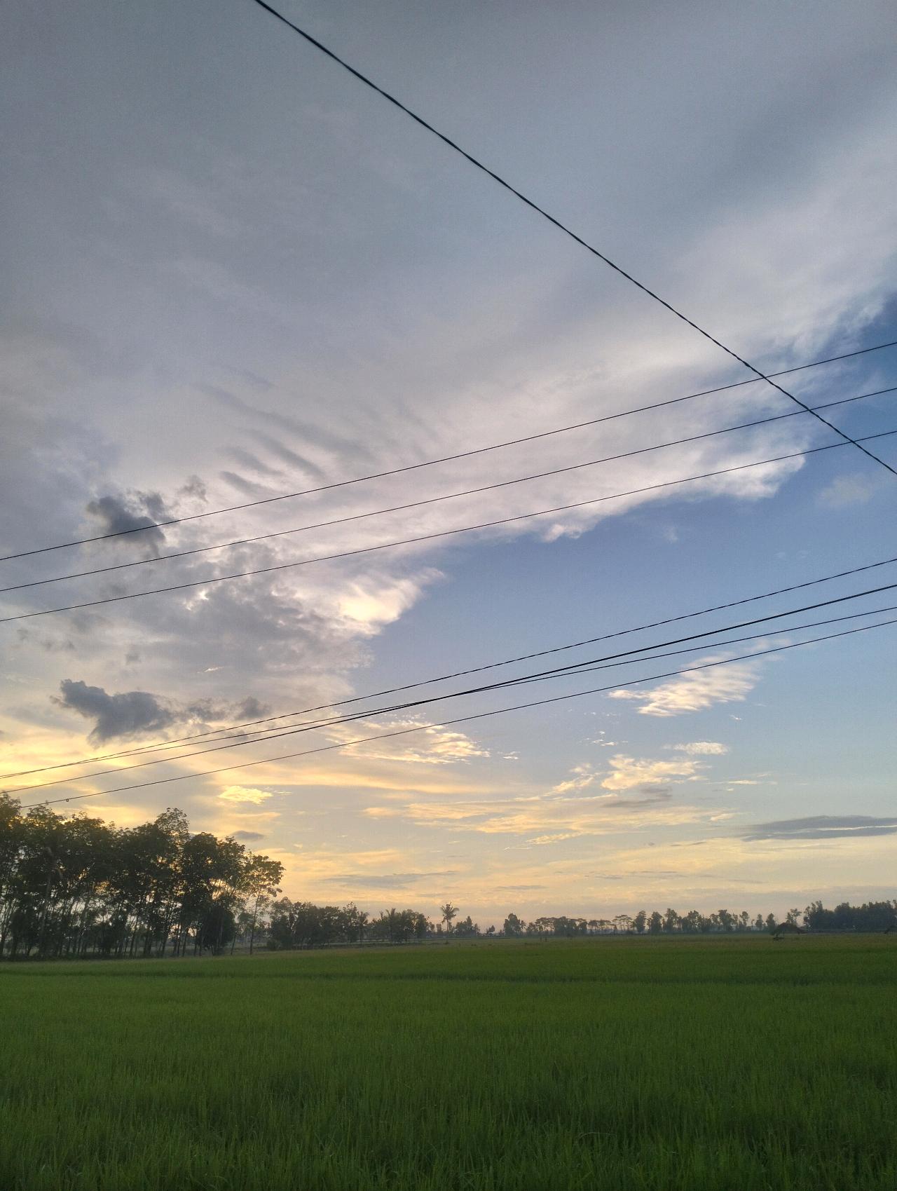 cmp_1773832329674.jpg