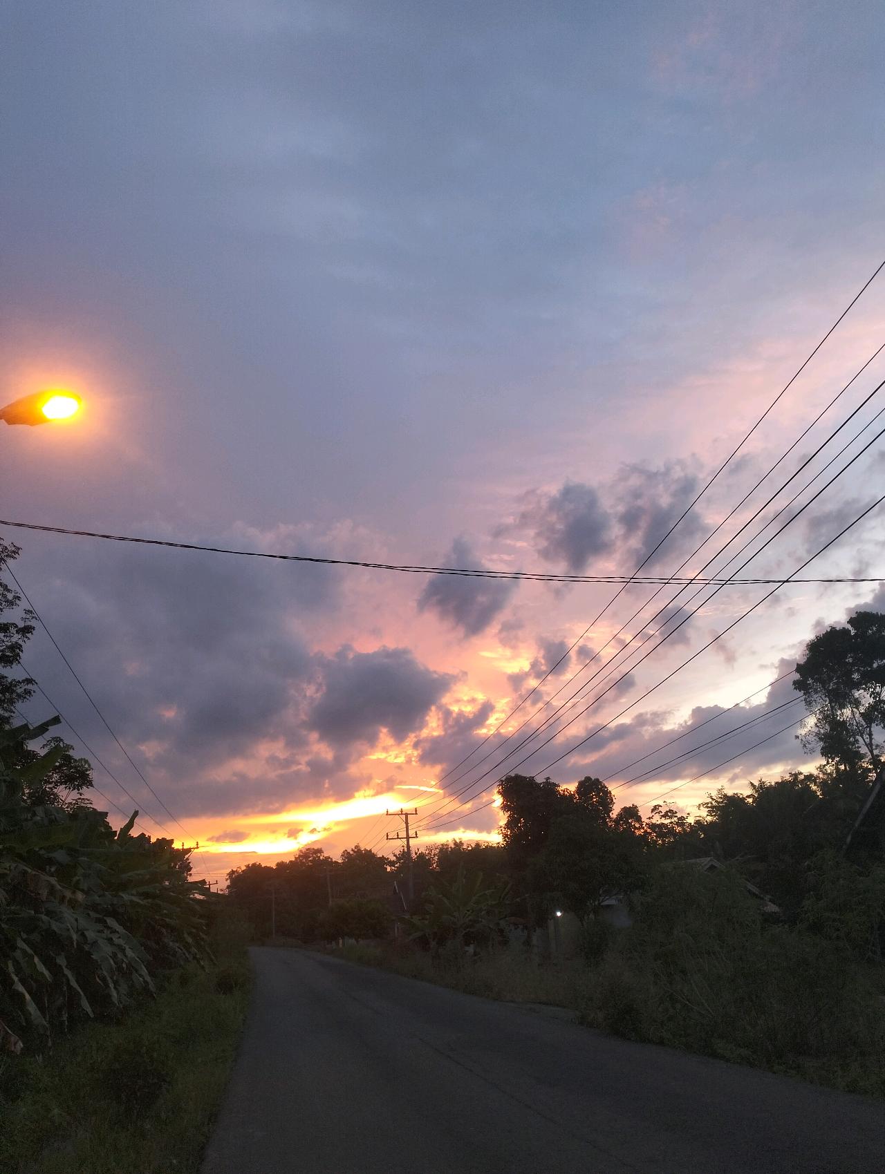cmp_1773832523055.jpg