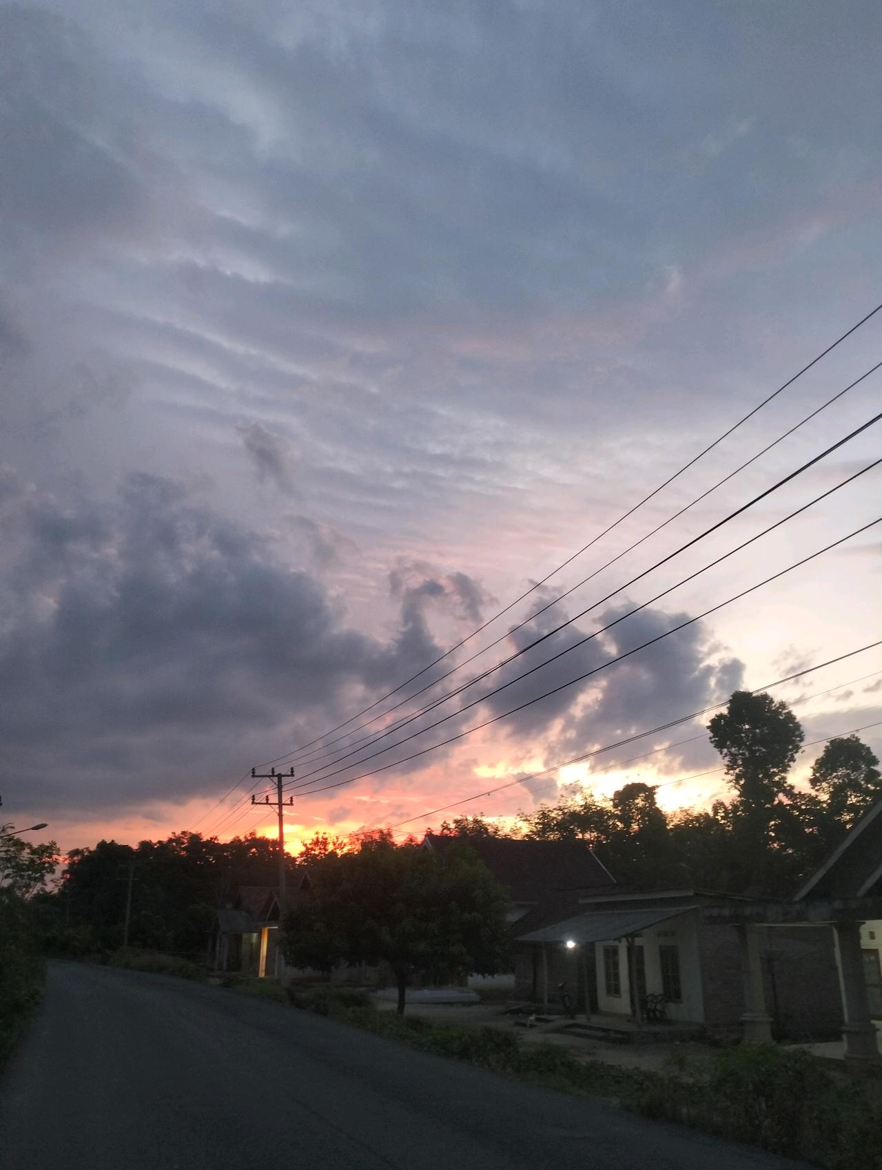 cmp_1773832528433.jpg
