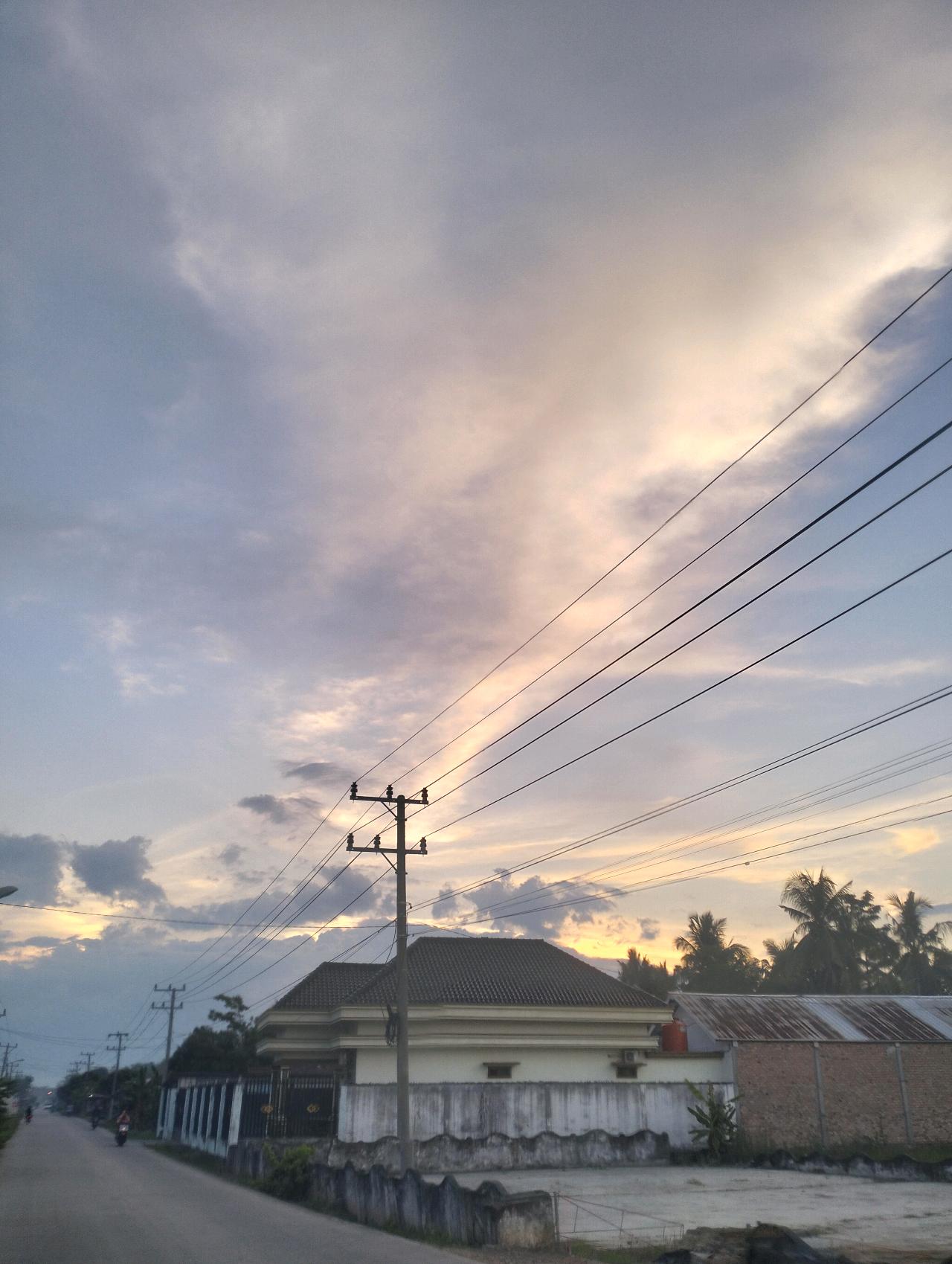 cmp_1773832567678.jpg