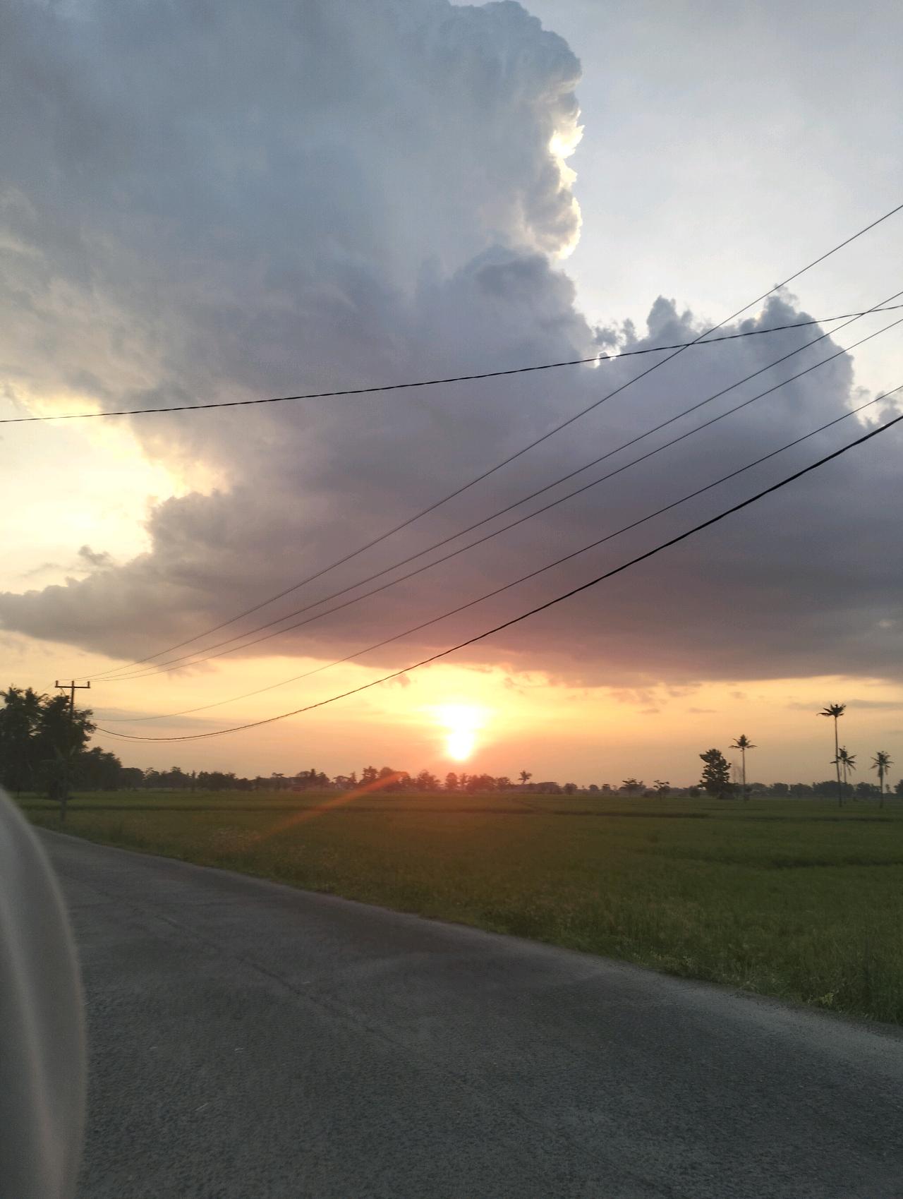 cmp_1773834145362.jpg