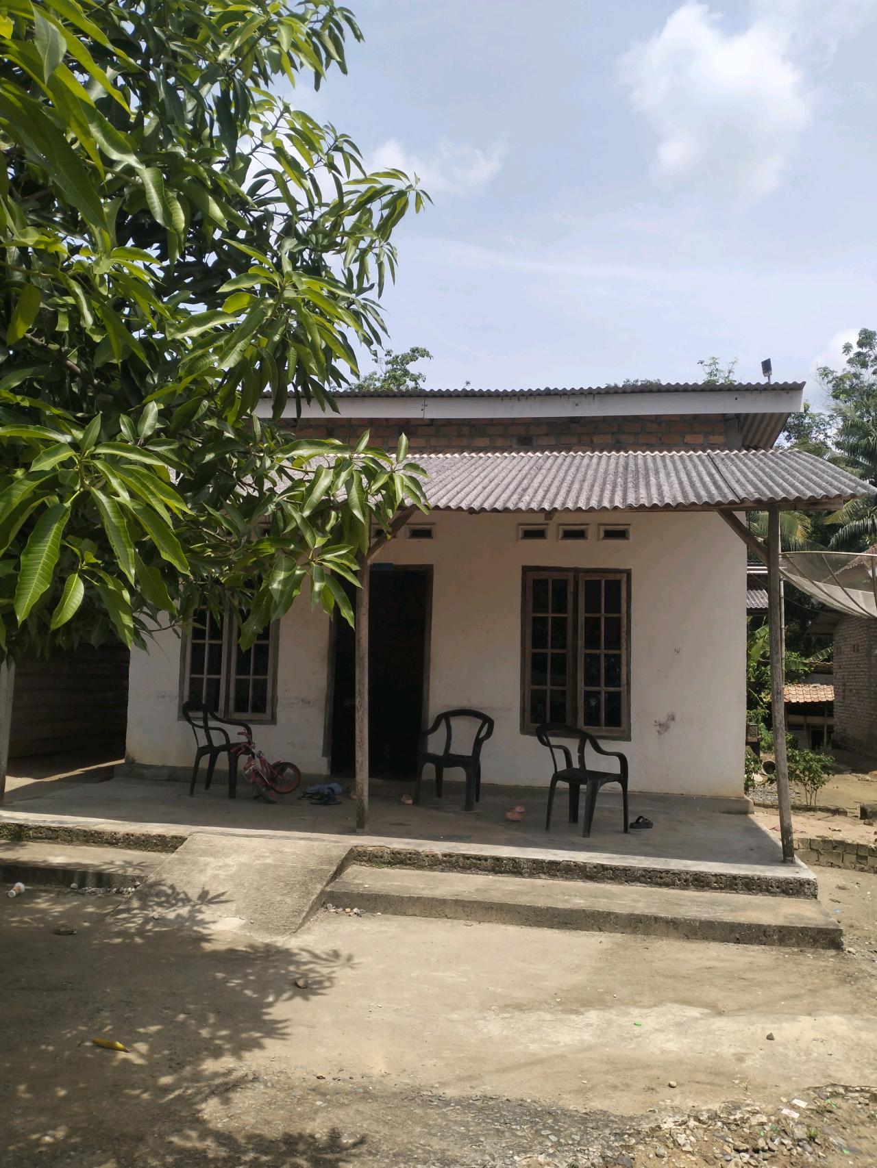 cmp_1773838430661.jpg