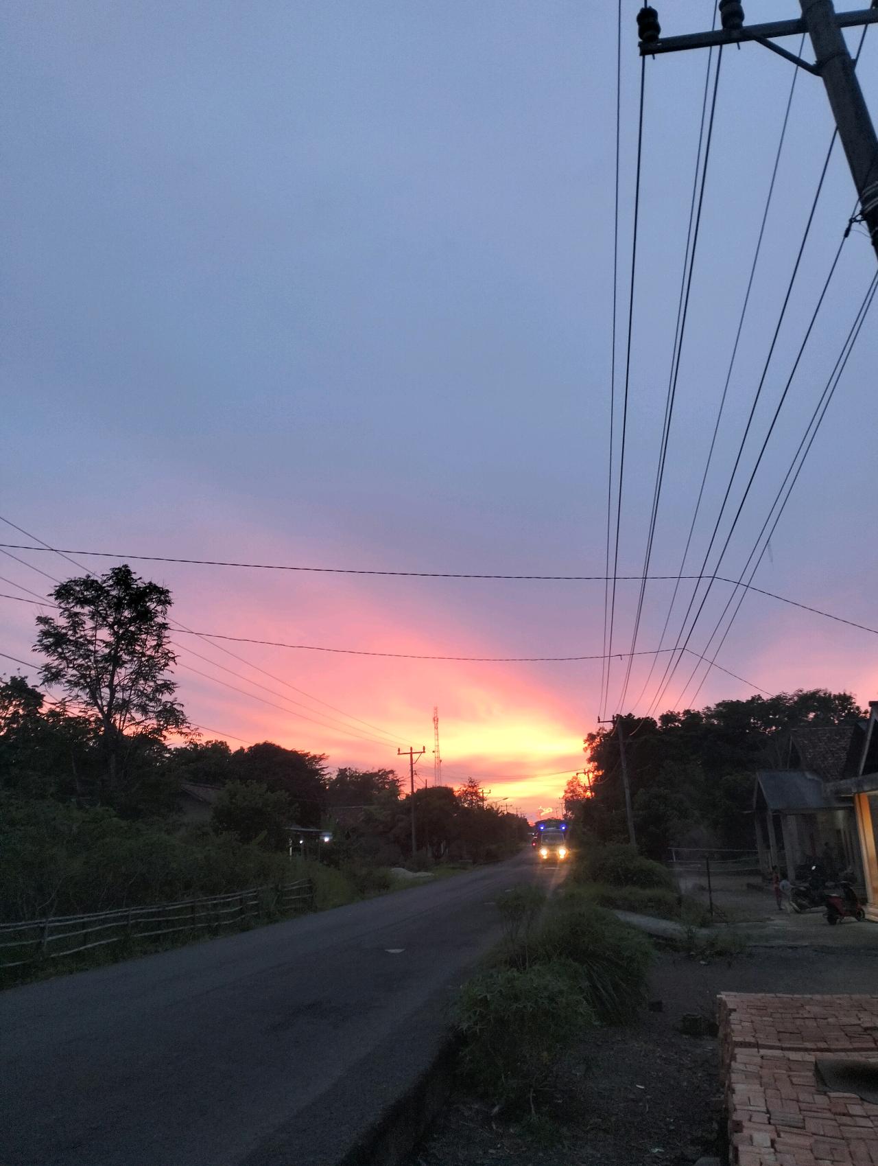 cmp_1773885743472.jpg
