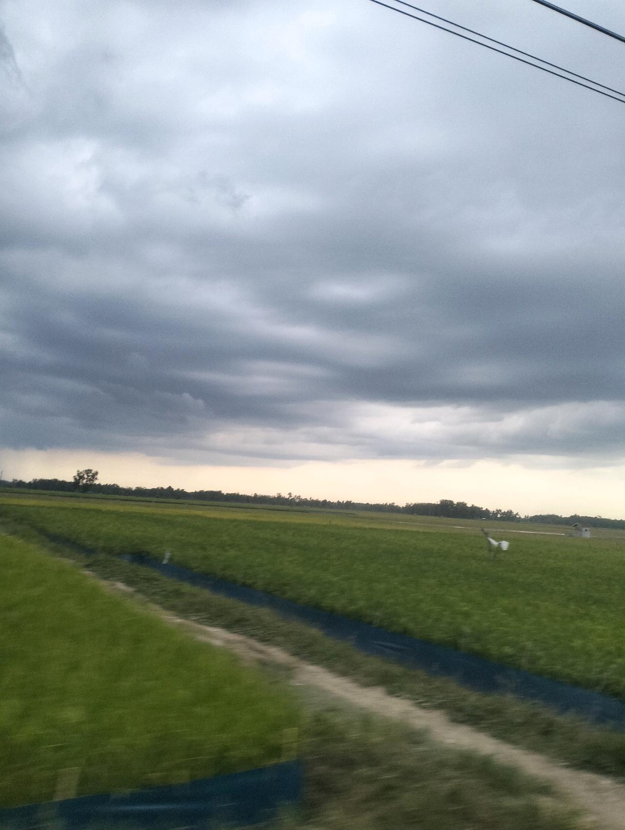 cmp_1773893892762.jpg