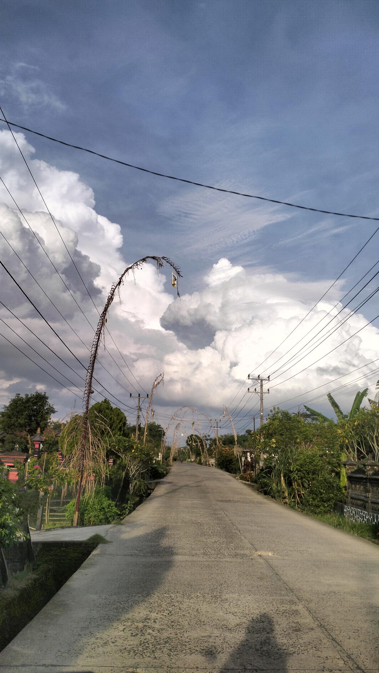 cmp_1773909661800.jpg