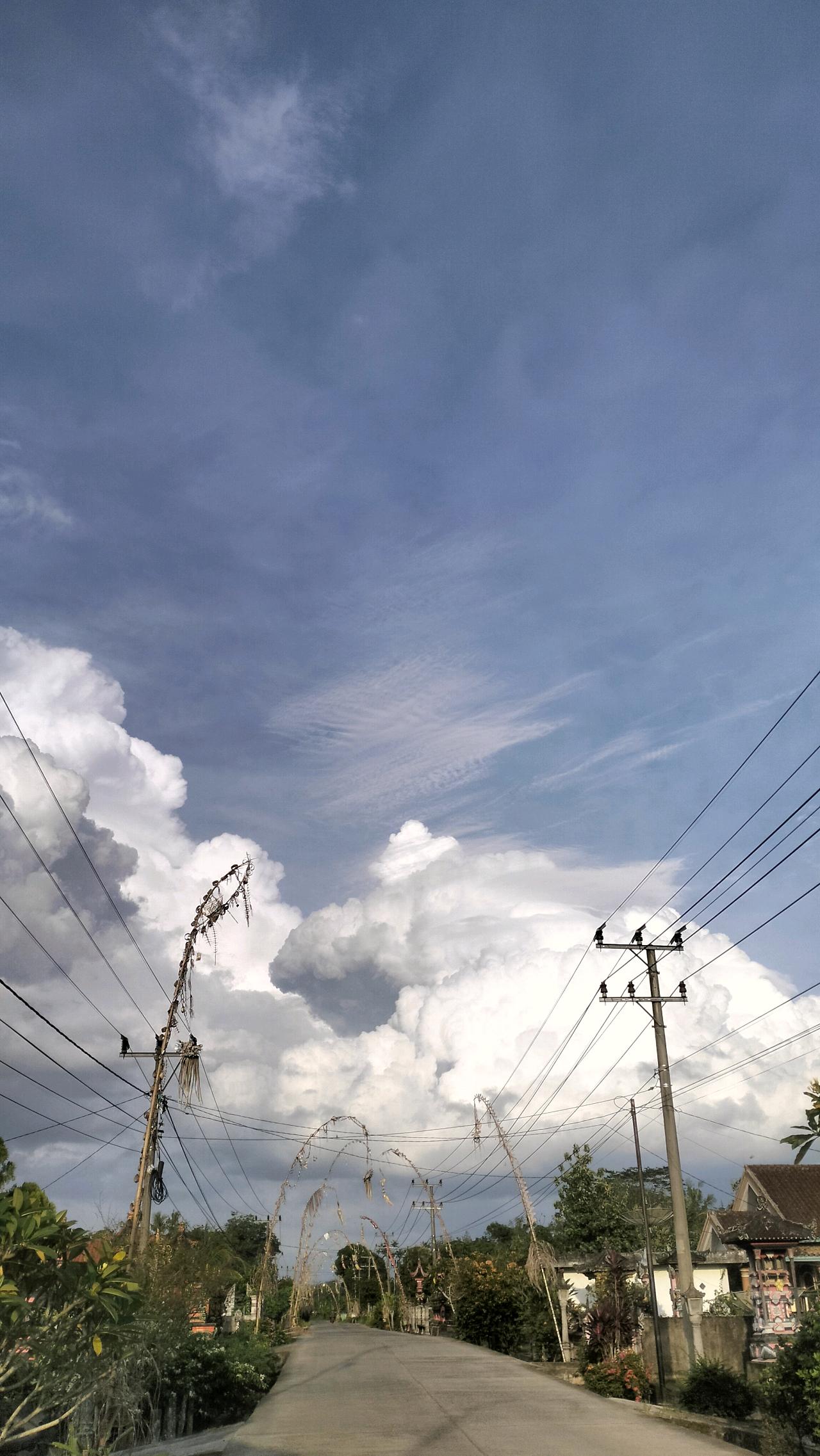 cmp_1773909669167.jpg