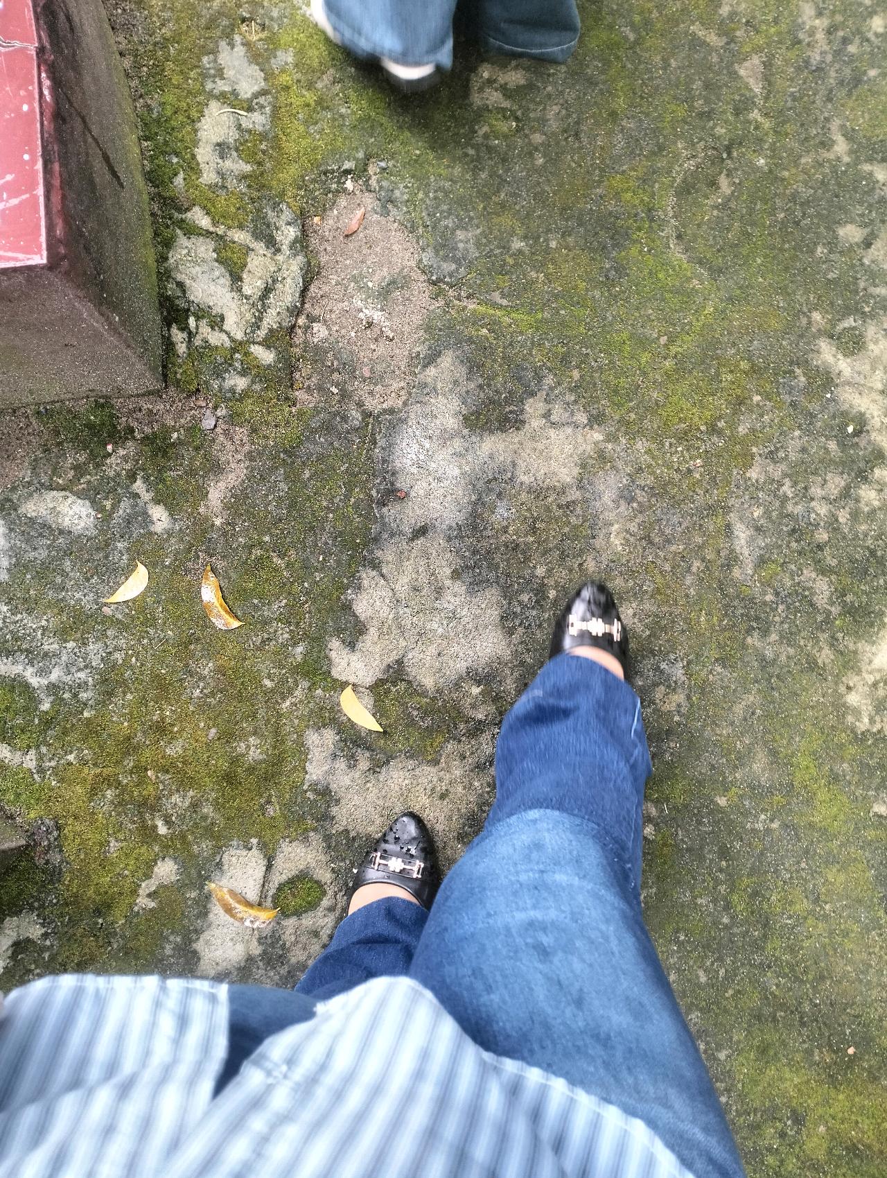 cmp_1773916102686.jpg