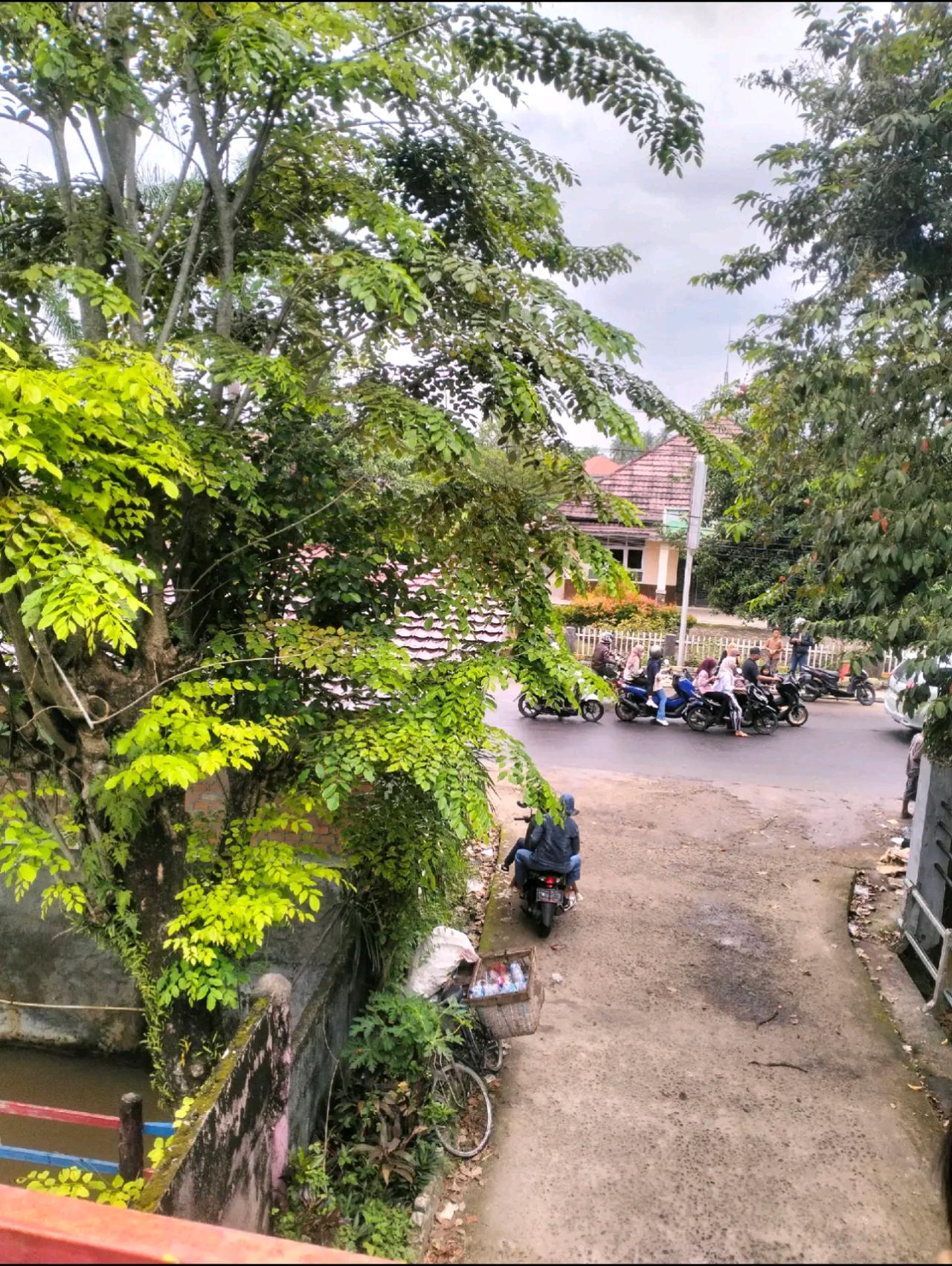 cmp_1773917454091.jpg