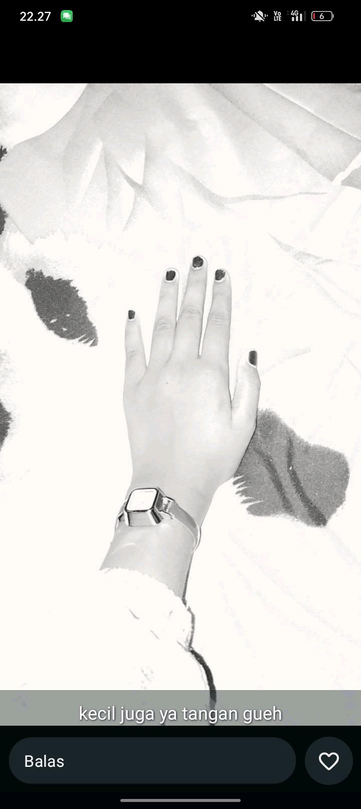 cmp_1774084095714.jpg