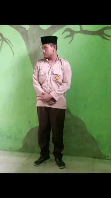cmp_1774091595494.jpg