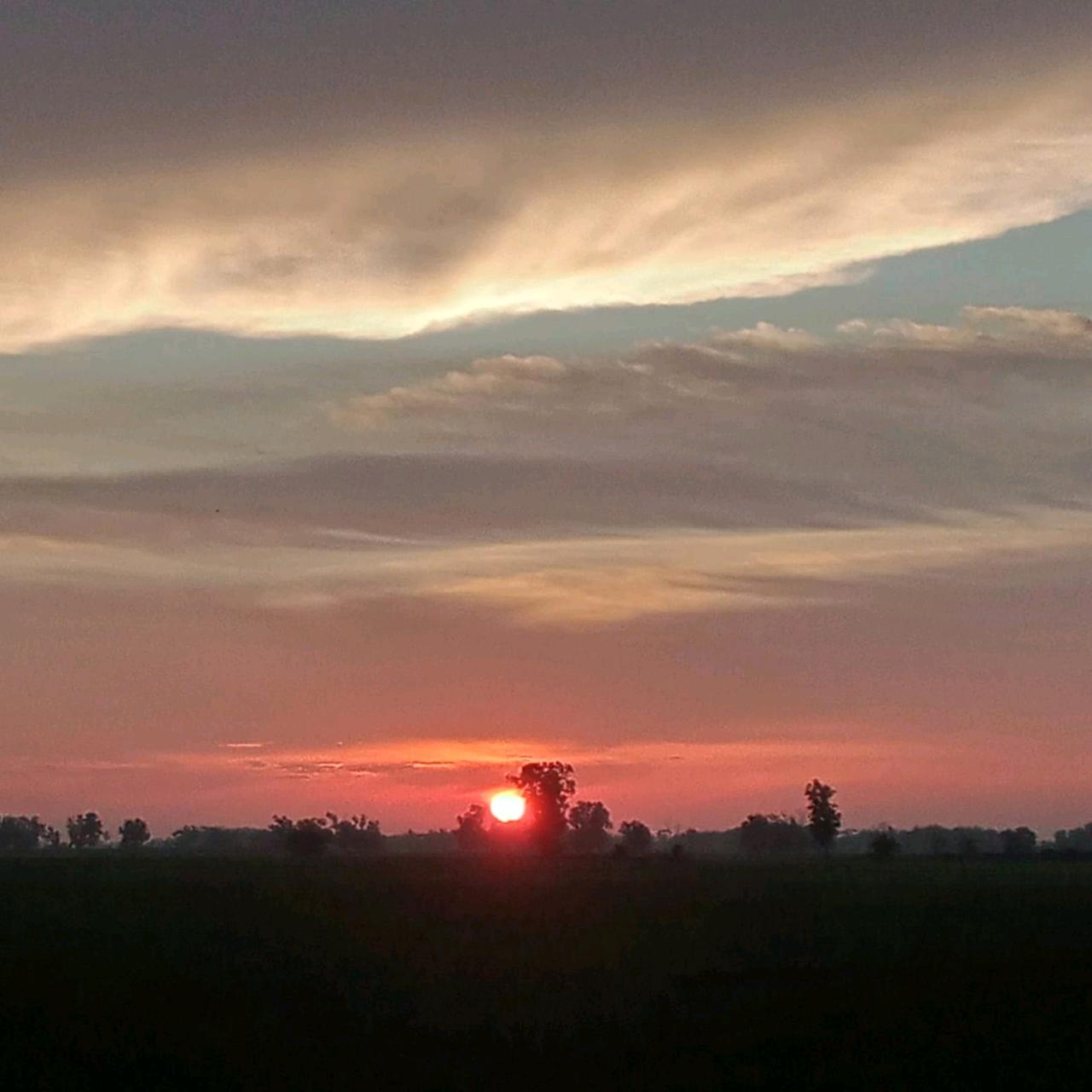 cmp_1774091756292.jpg