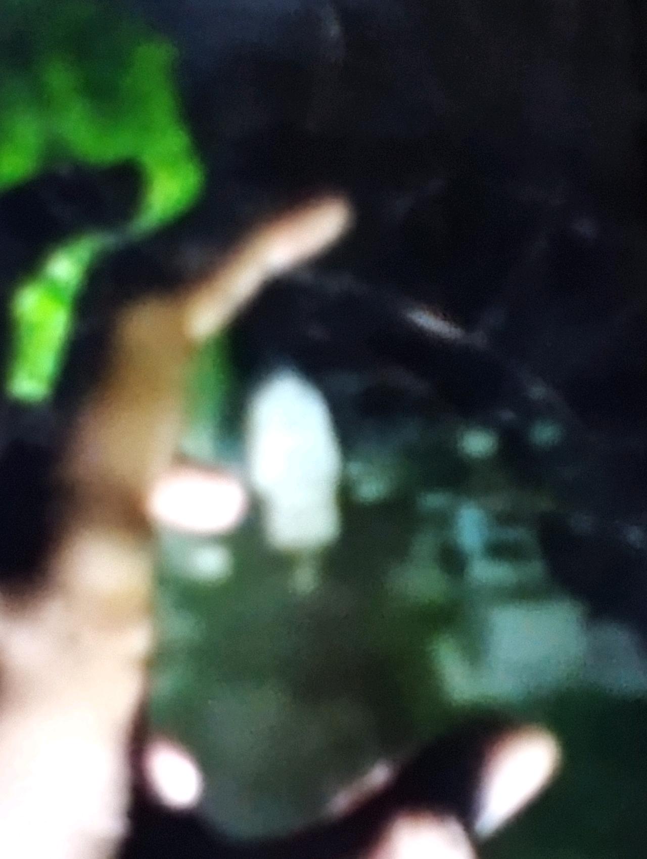 cmp_1774110828322.jpg