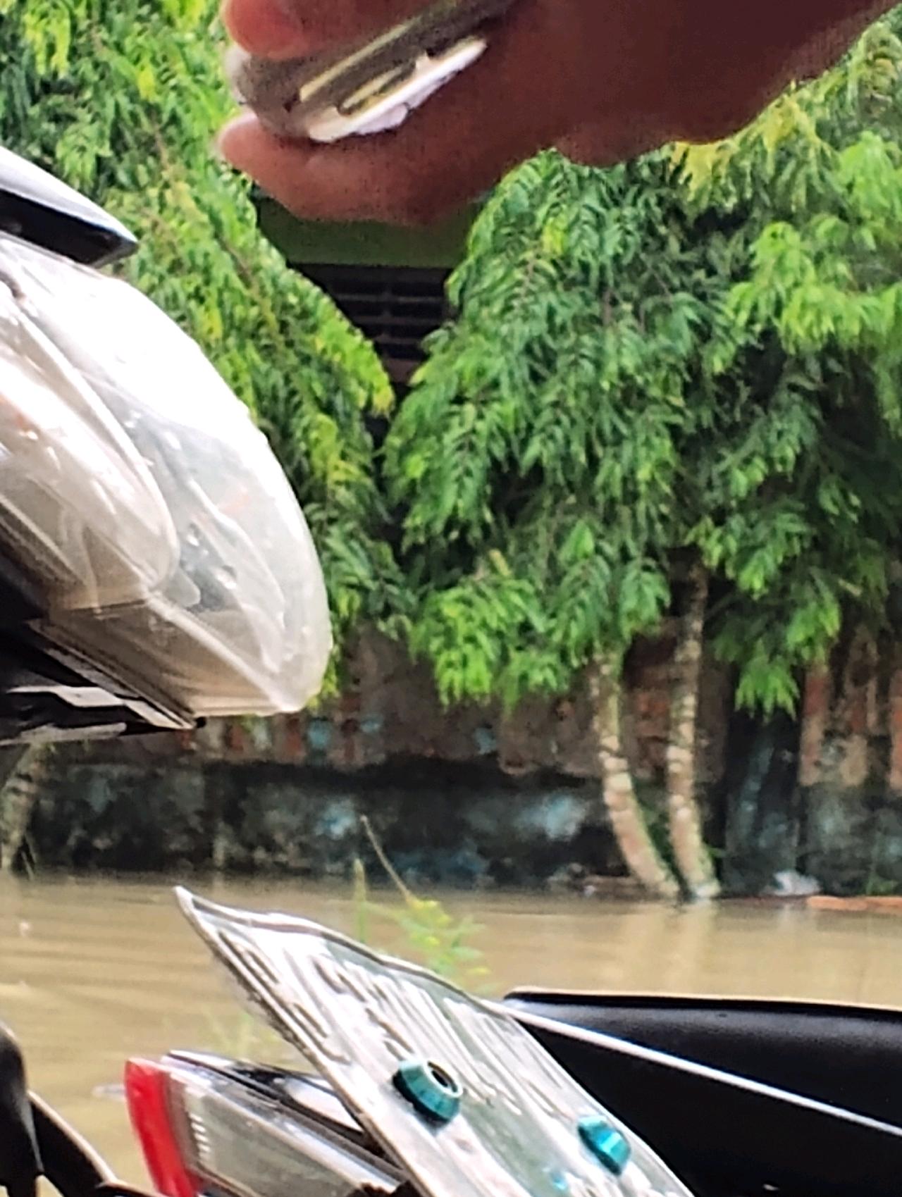 cmp_1774113358418.jpg