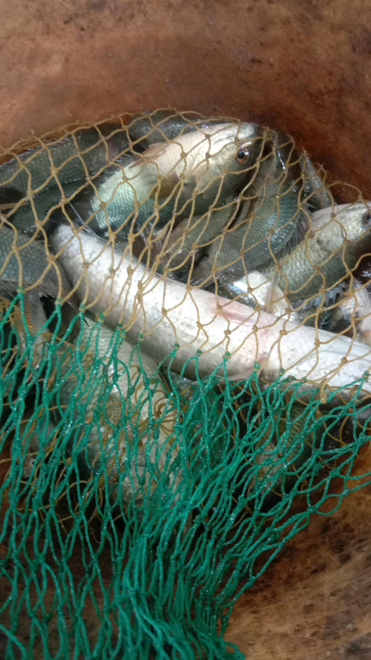cmp_1774118073940.jpg