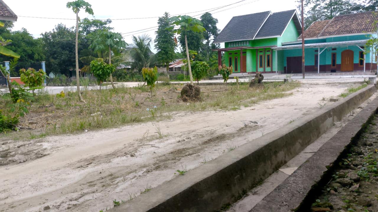 cmp_1774216370368.jpg