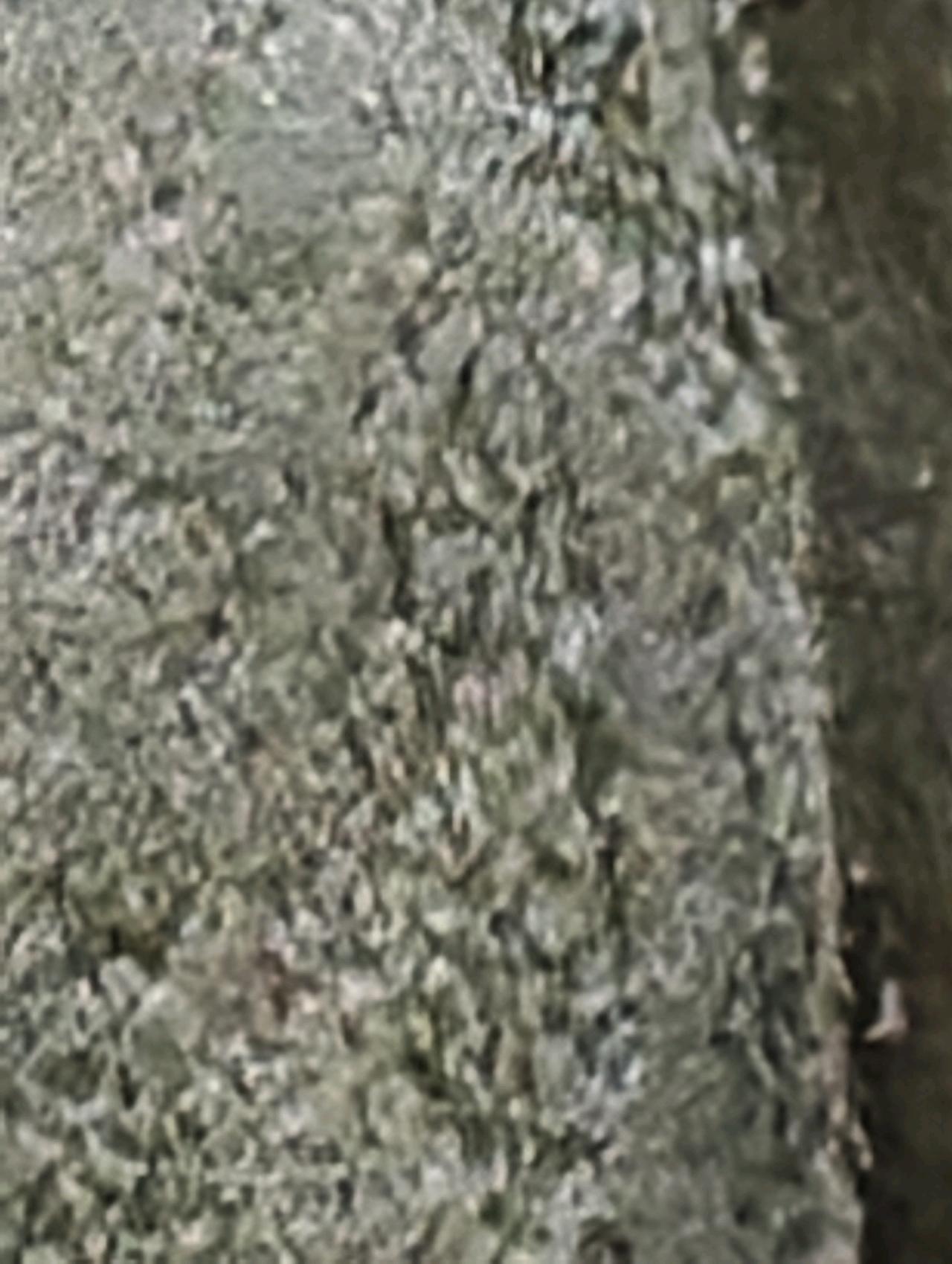 cmp_1774218077553.jpg