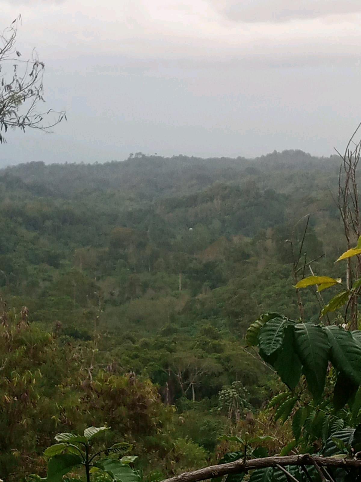 cmp_1774296760565.jpg