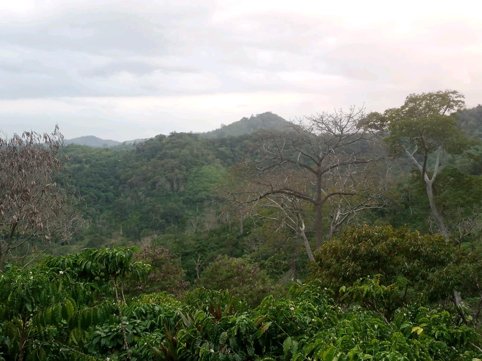 cmp_1774296762000.jpg