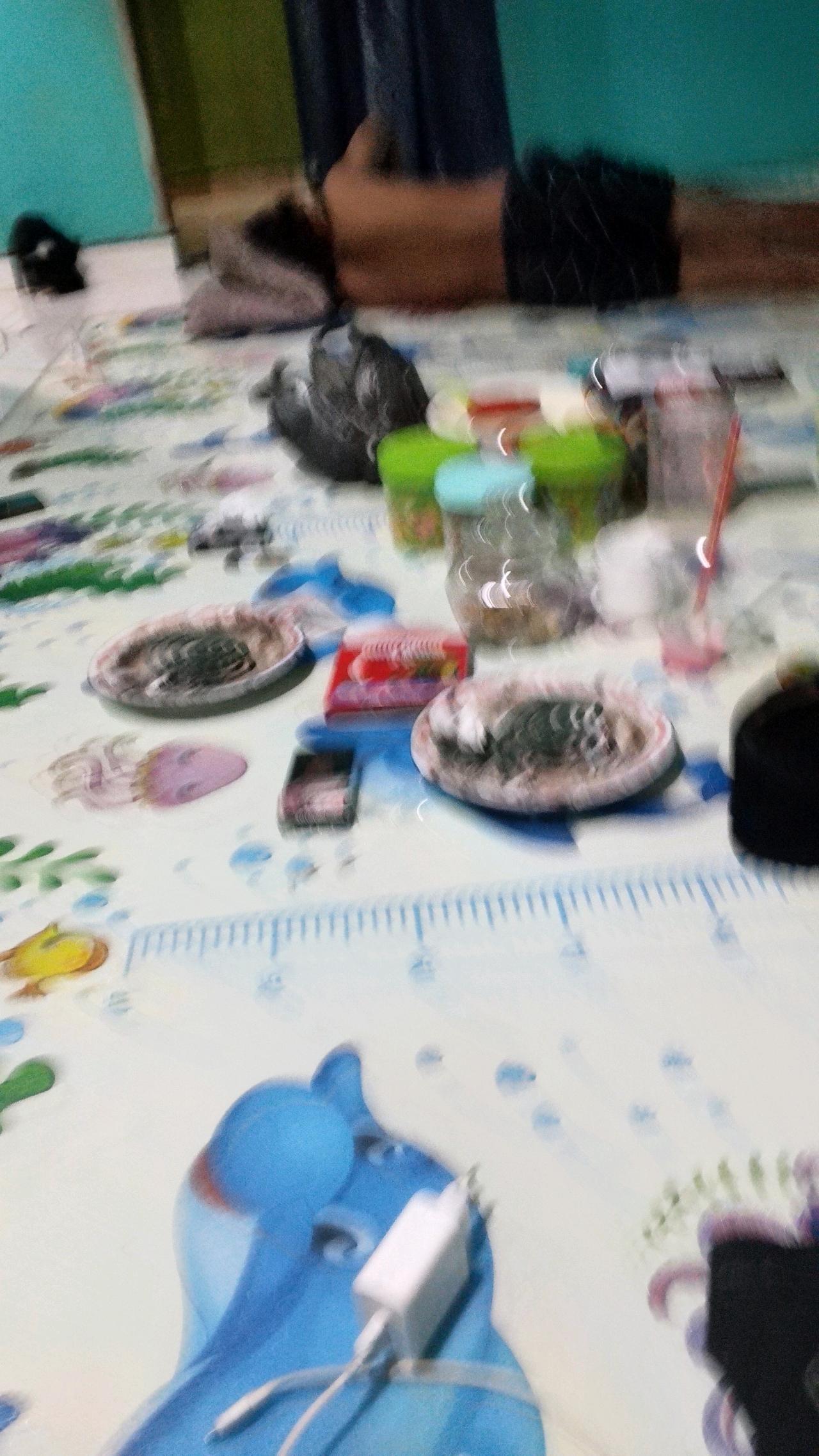 cmp_1774509147146.jpg
