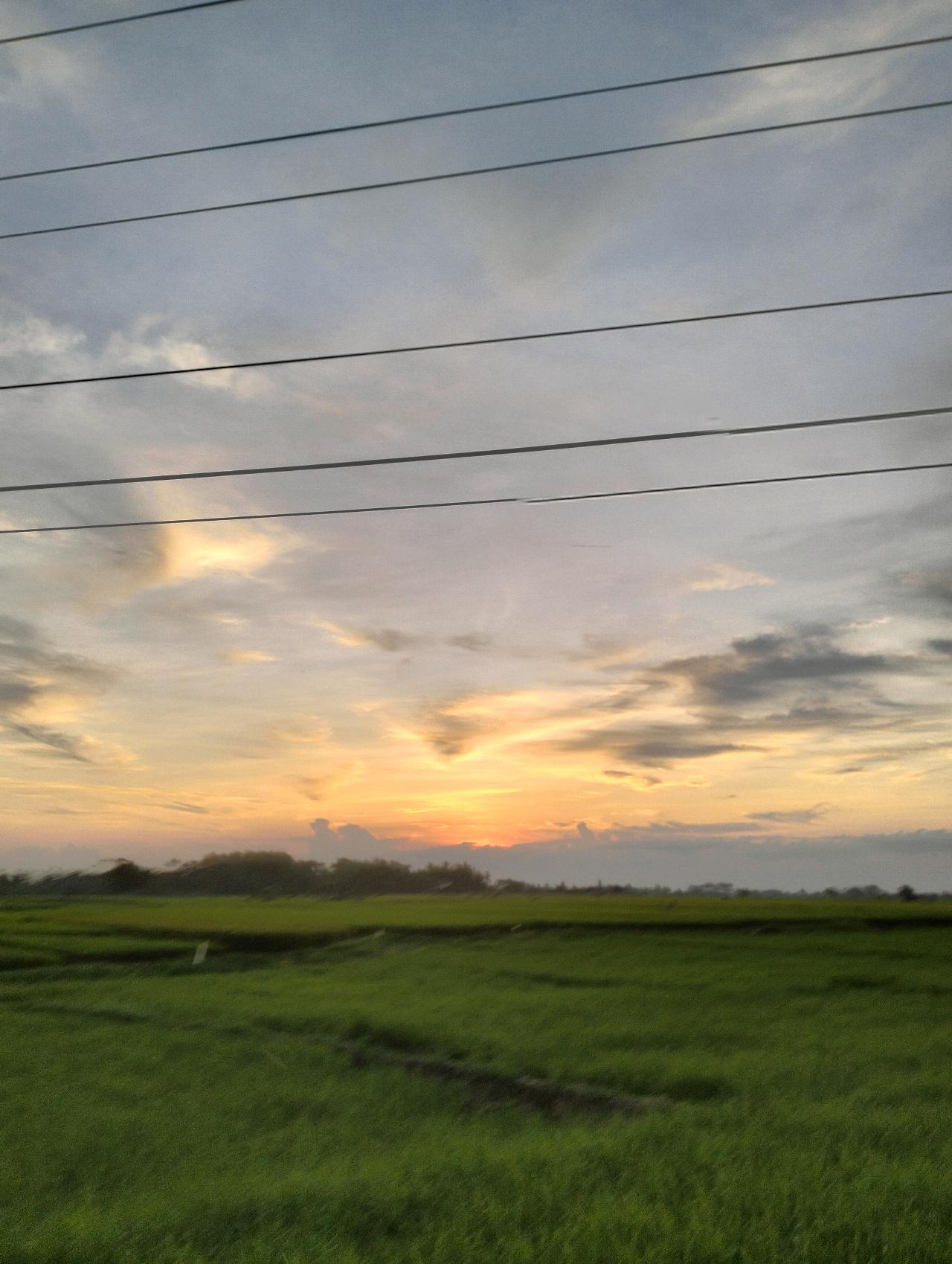 cmp_1774521605366.jpg