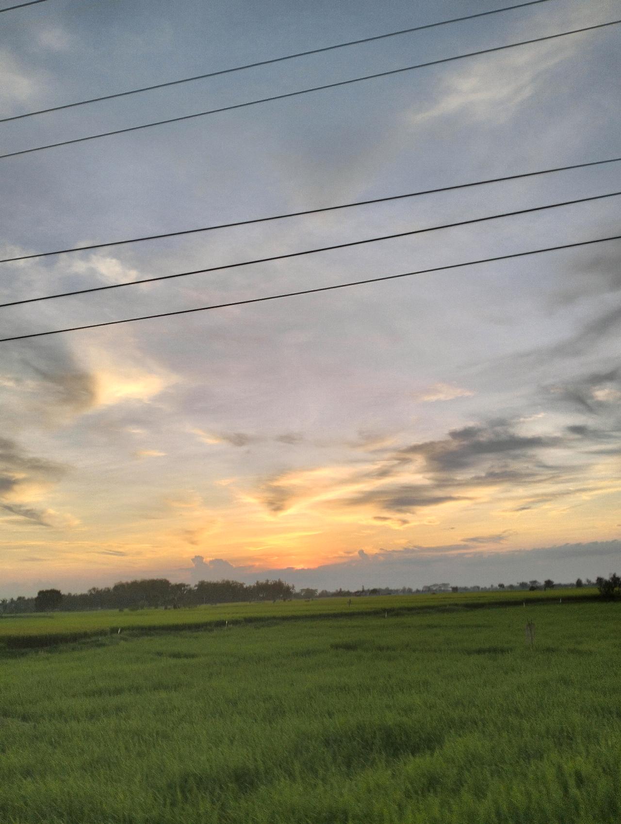 cmp_1774521613875.jpg