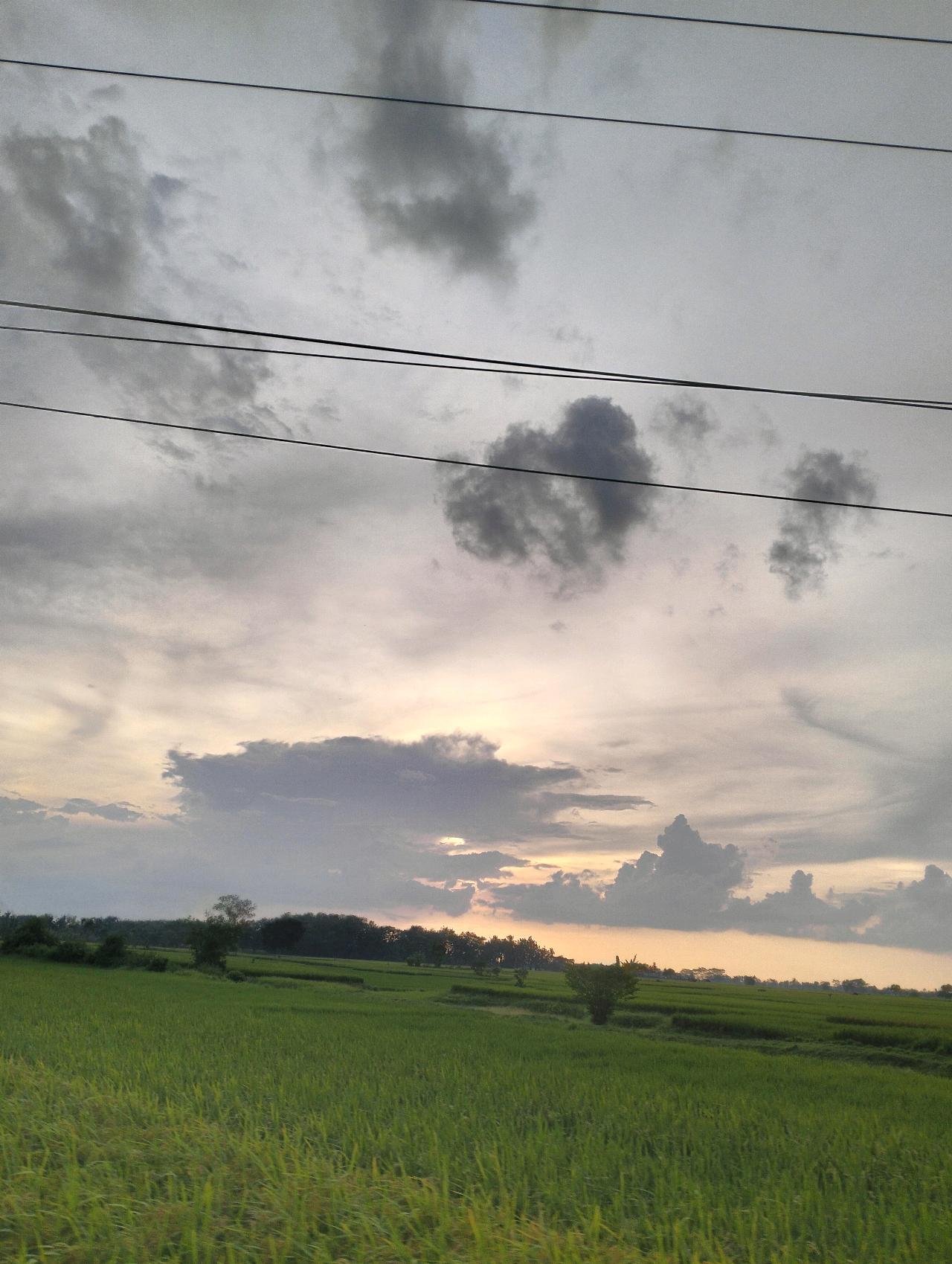 cmp_1774525797259.jpg