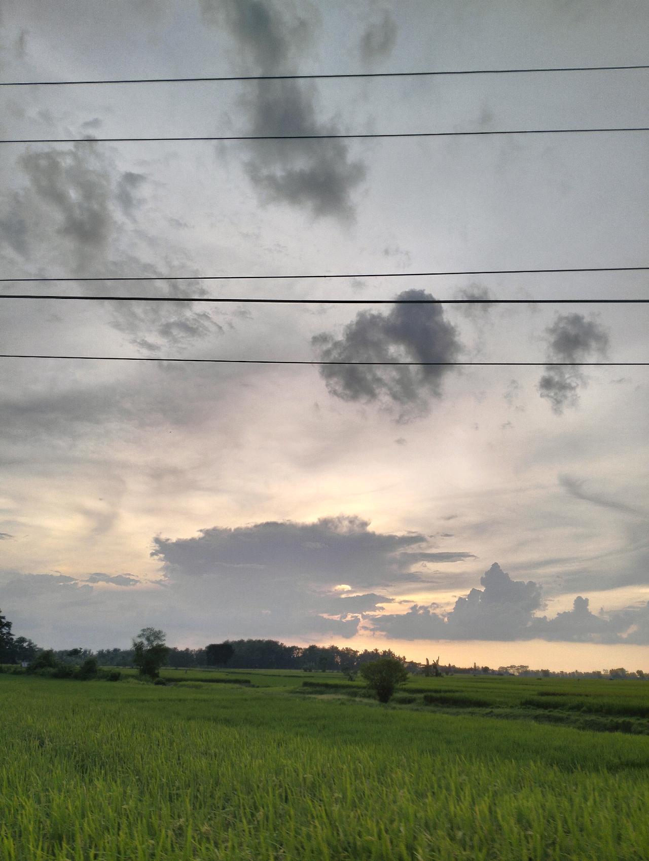 cmp_1774525835771.jpg