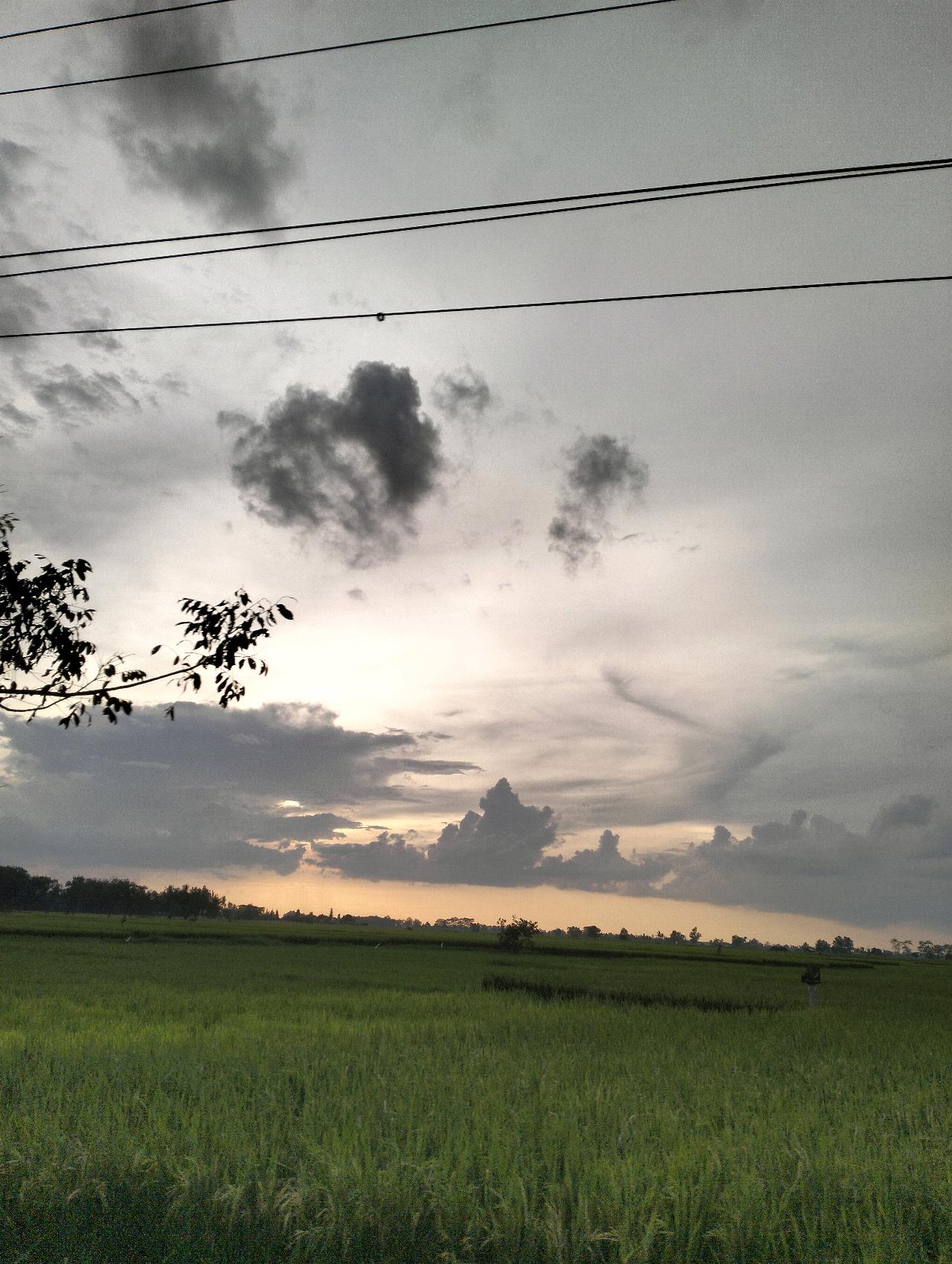 cmp_1774525839467.jpg