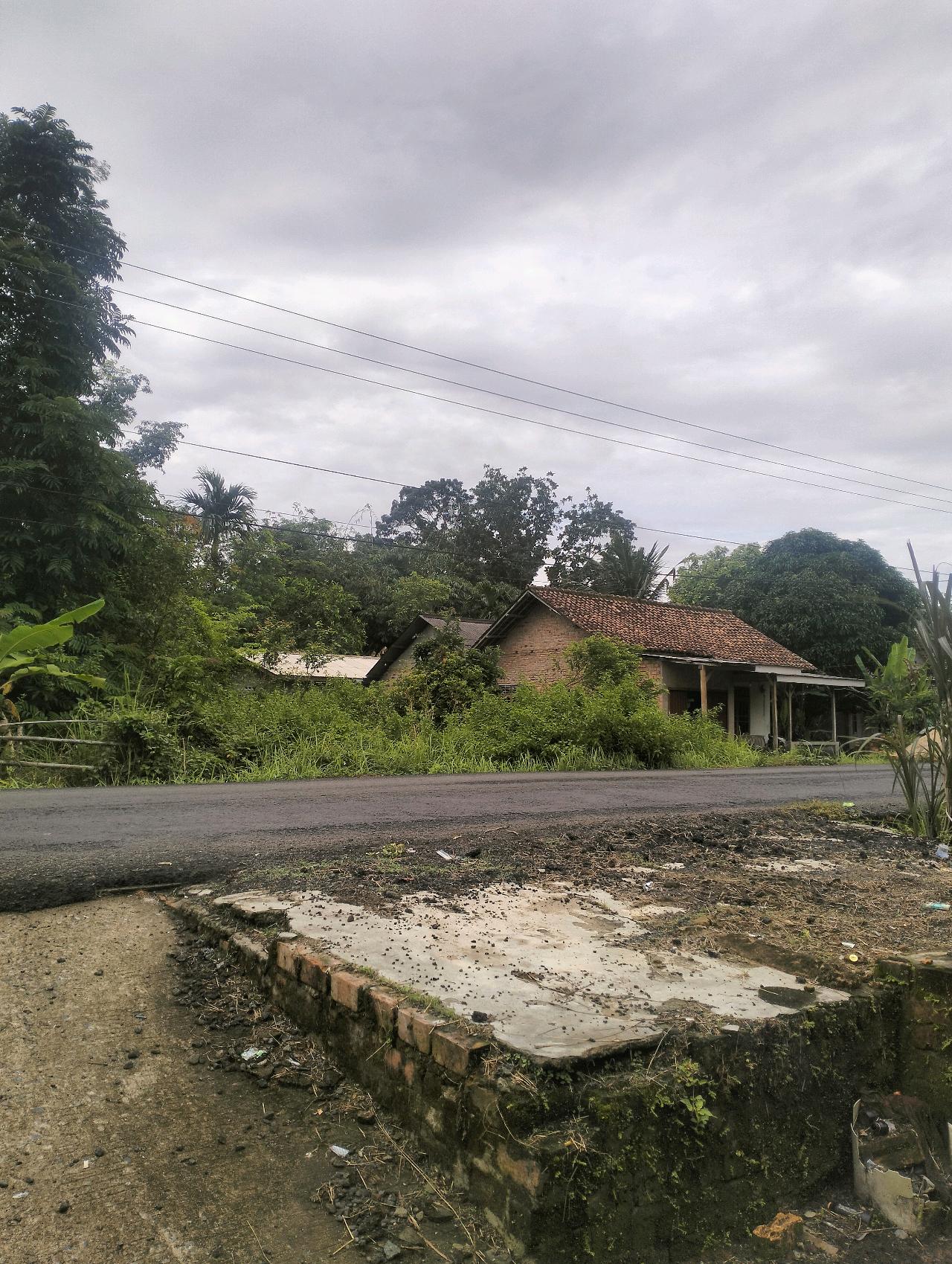 cmp_1774585753342.jpg
