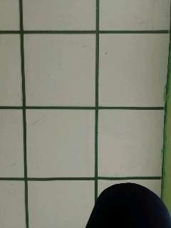 tka_photo_1774917445121.jpg
