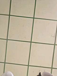 tka_photo_1774917084457.jpg