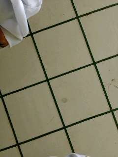 tka_photo_1774917254021.jpg