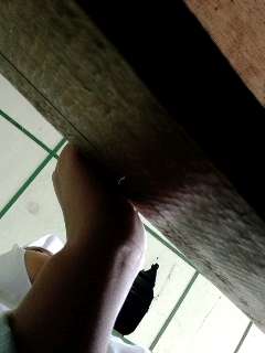 tka_photo_1774917887313.jpg