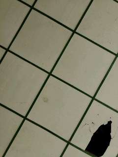 tka_photo_1774918911877.jpg