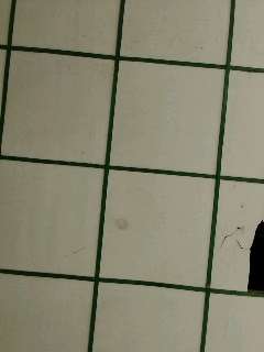 tka_photo_1774919511845.jpg