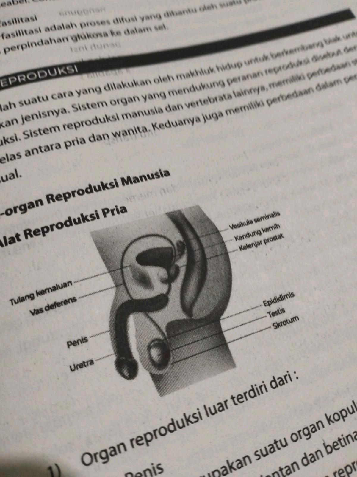 cmp_1775533090940.jpg