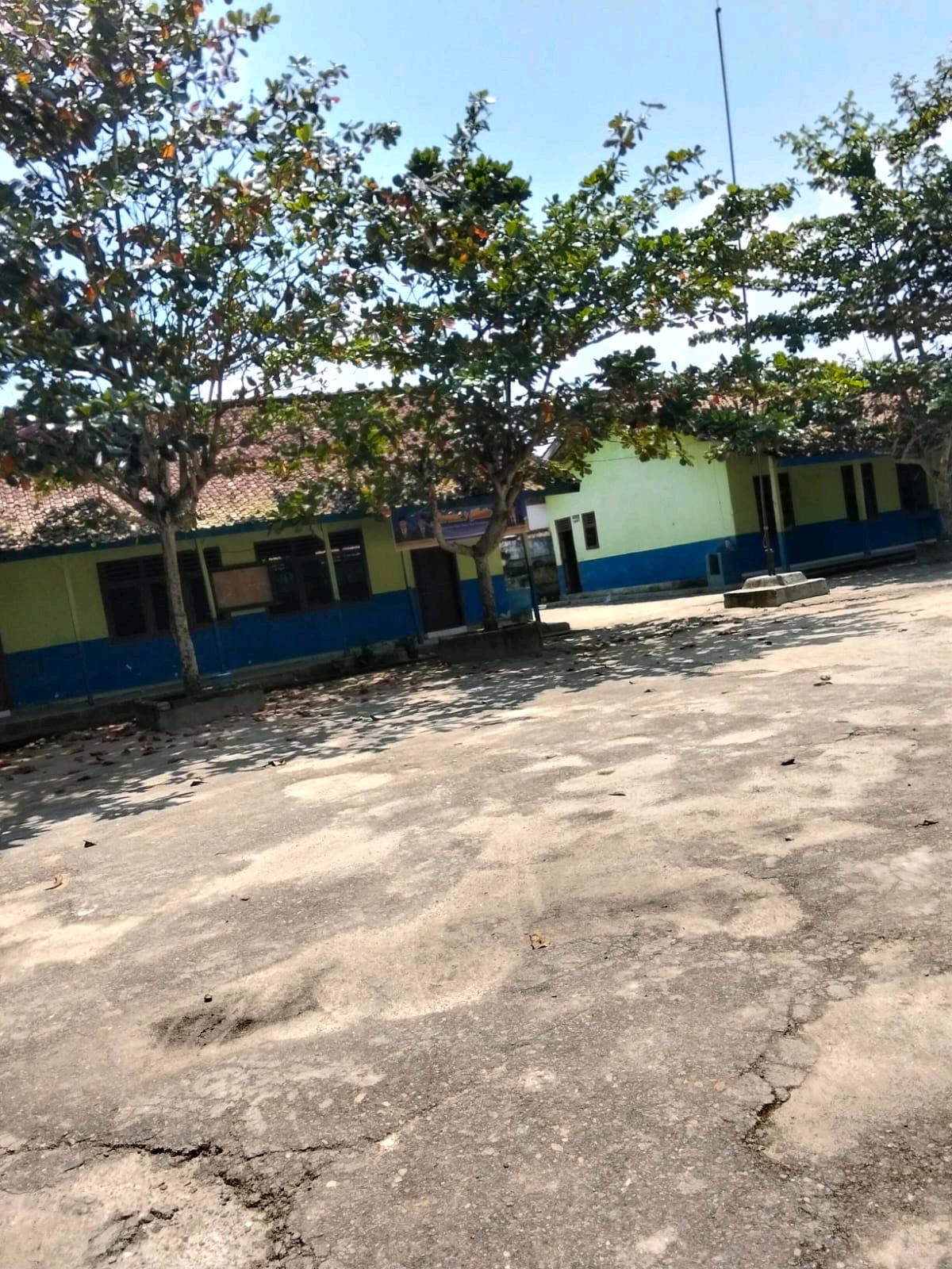cmp_1775545835506.jpg