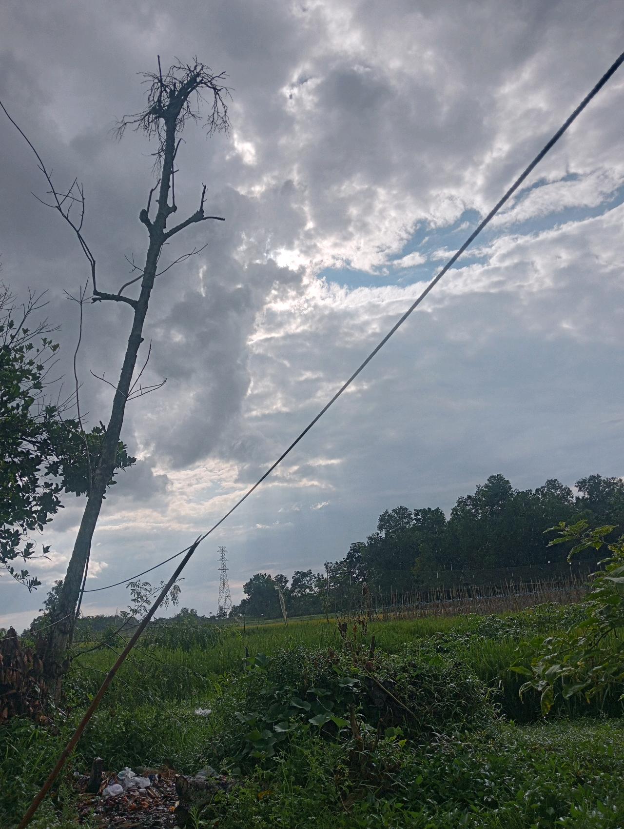 cmp_1775573533113.jpg