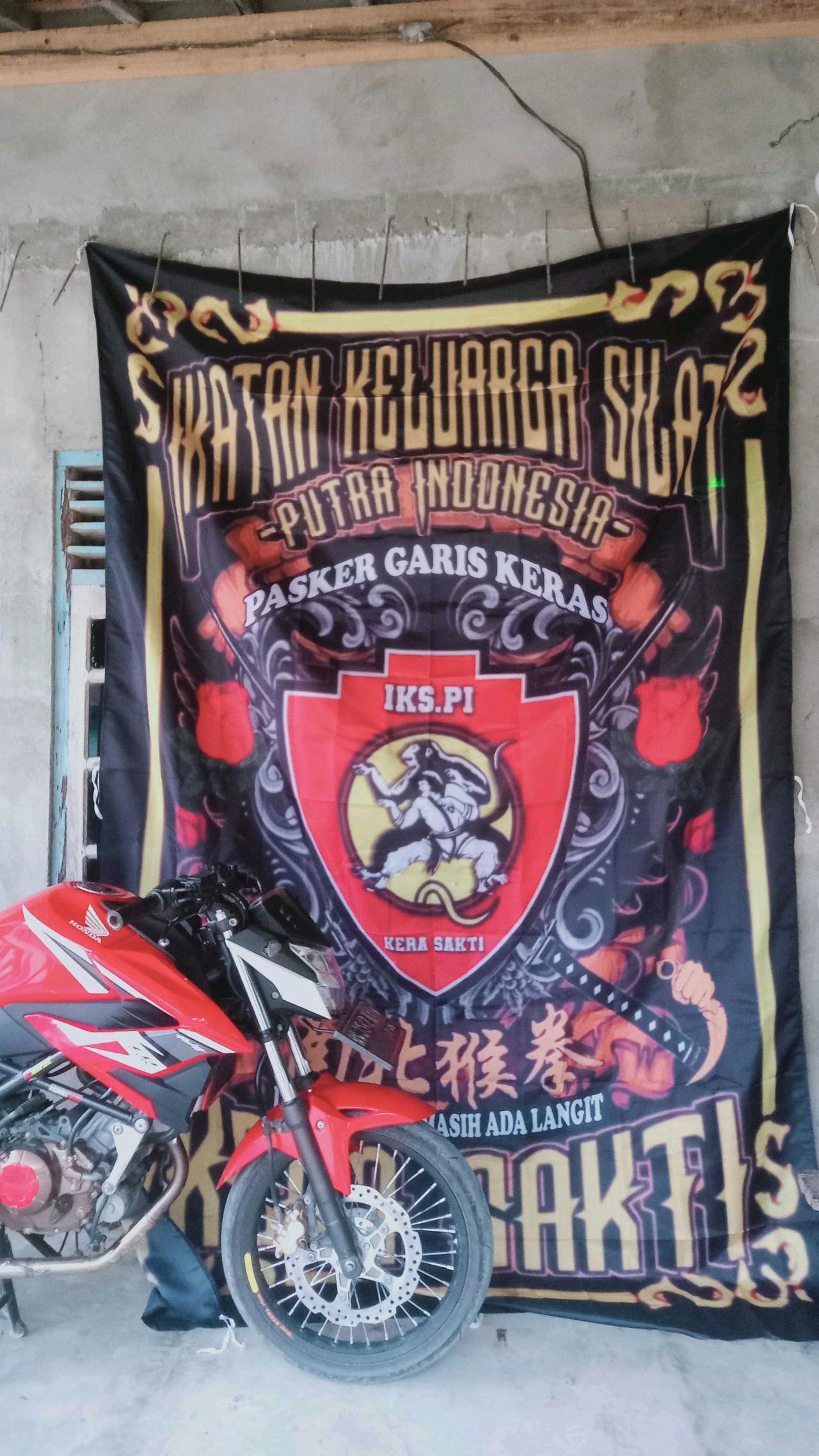 cmp_1775608336468.jpg