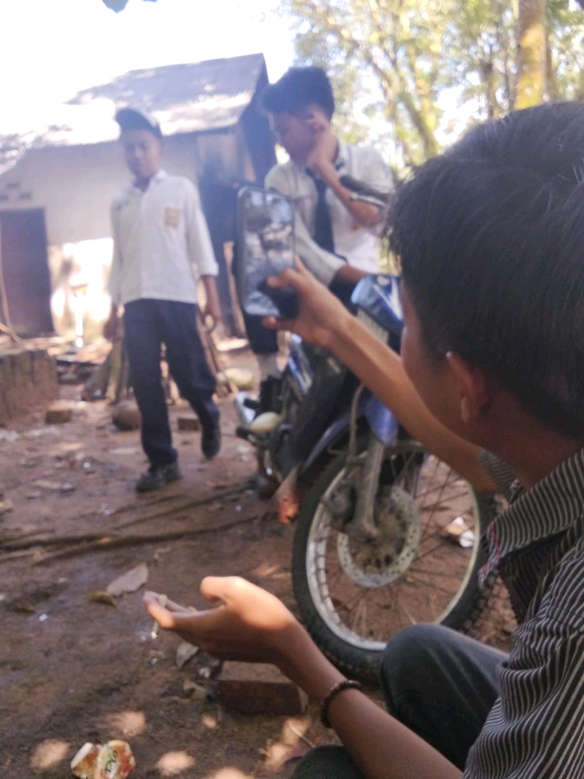 cmp_1775608368577.jpg