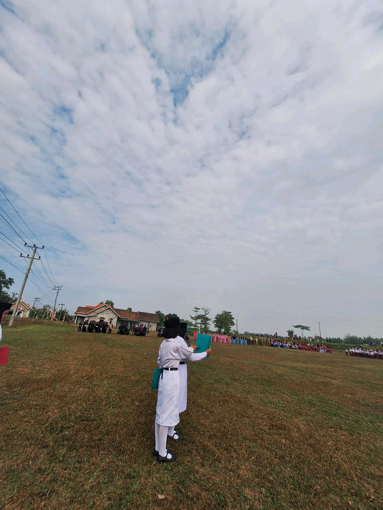 cmp_1775610361089.jpg