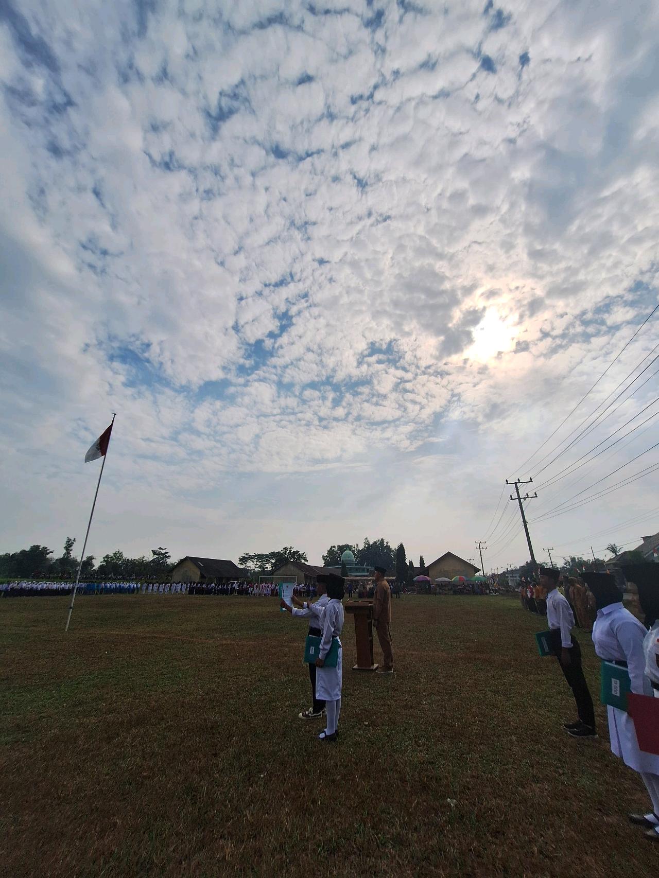 cmp_1775611273447.jpg
