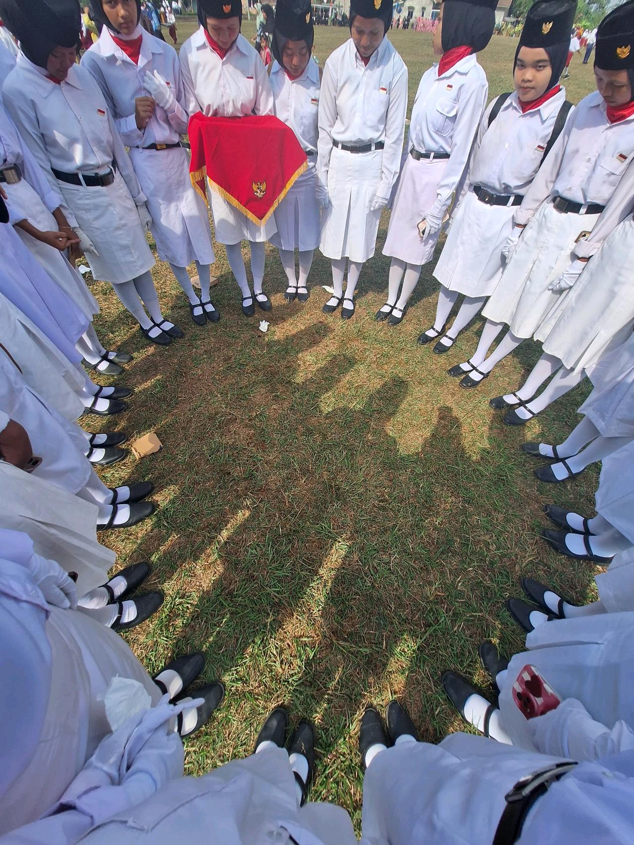 cmp_1775611331740.jpg