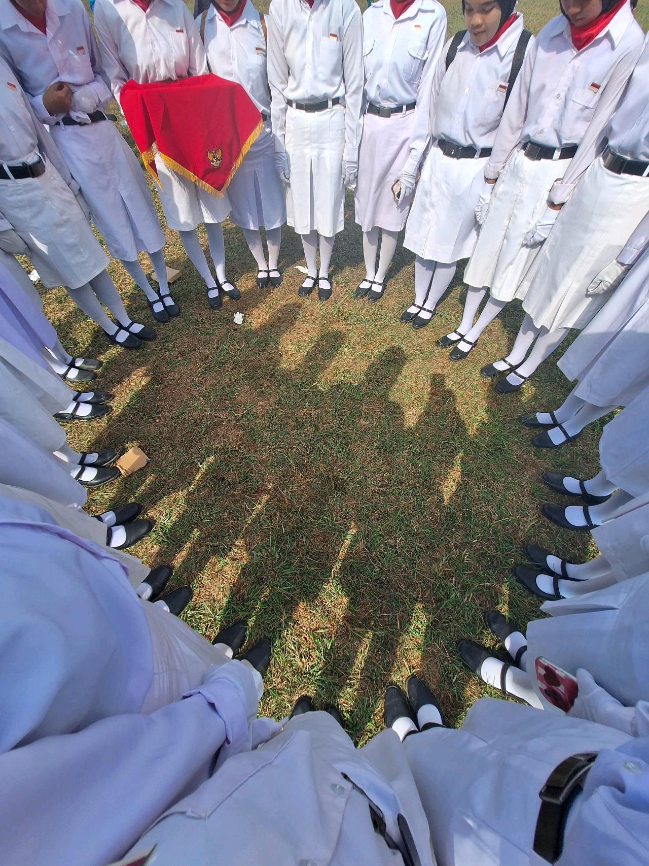 cmp_1775611337683.jpg