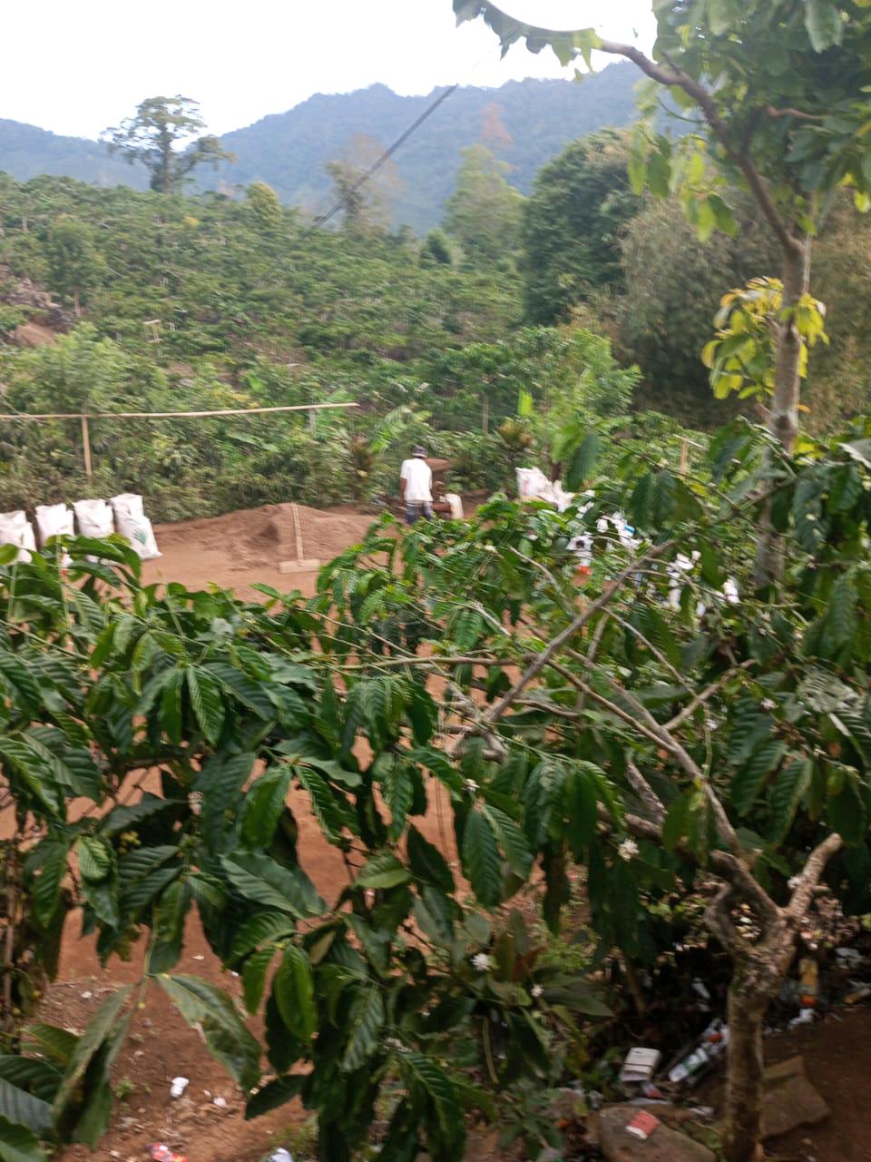 cmp_1775612391573.jpg