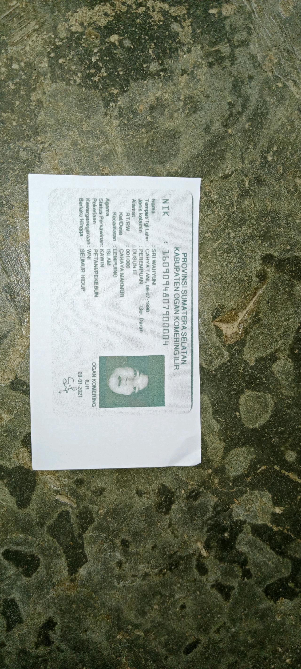 cmp_1775615762598.jpg