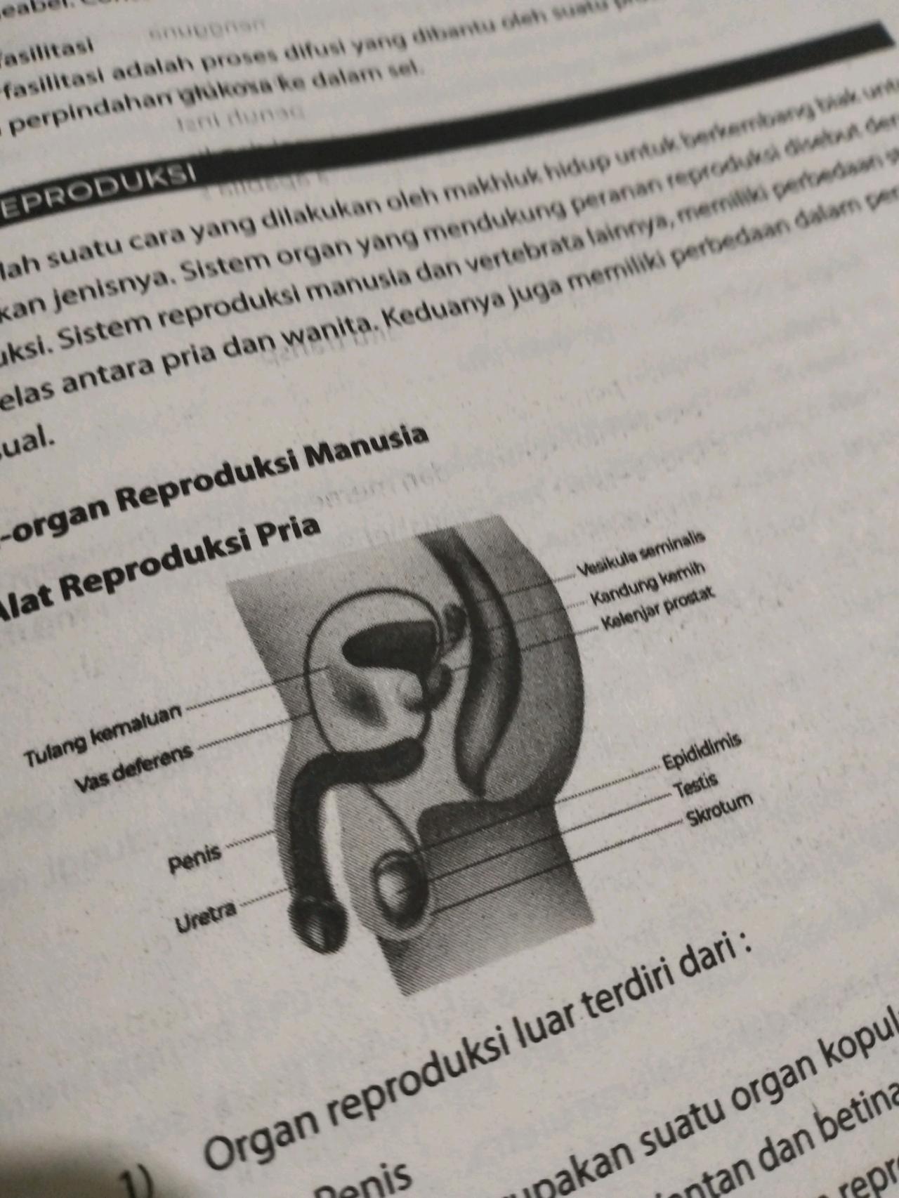 cmp_1775649665884.jpg