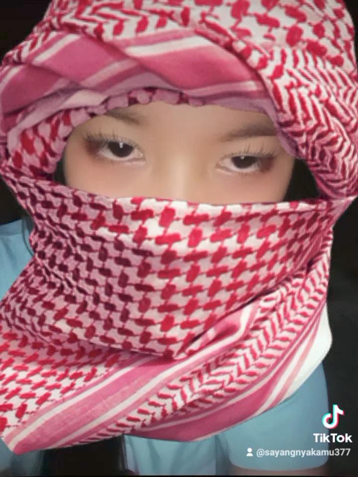 cmp_1775698182667.jpg